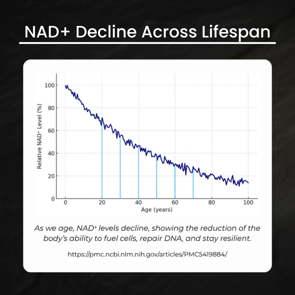 The NAD+ Decline: